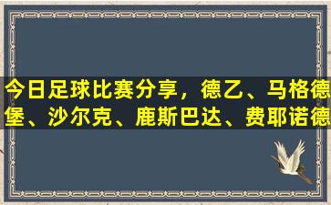 今日足球比赛分享，德乙、马格德堡、沙尔克、鹿斯巴达、费耶诺德