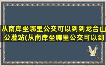 从南岸坐哪里公交可以到到龙台山公墓站(从南岸坐哪里公交可以到到龙台山公墓地铁站)