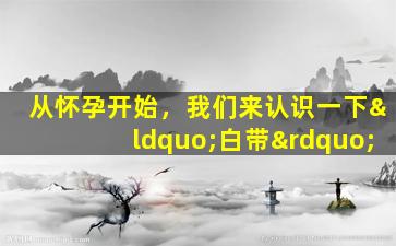 从怀孕开始，我们来认识一下“白带”
