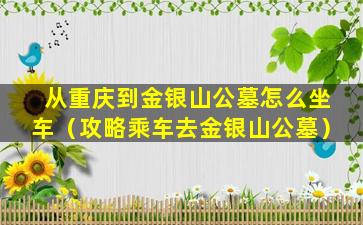 从重庆到金银山公墓怎么坐车（攻略乘车去金银山公墓）