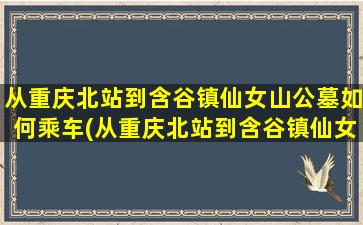 从重庆北站到含谷镇仙女山公墓如何乘车(从重庆北站到含谷镇仙女山公墓如何乘车方便)