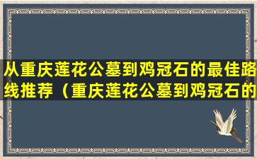从重庆莲花公墓到鸡冠石的最佳路线推荐（重庆莲花公墓到鸡冠石的旅行攻略）