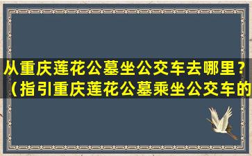 从重庆莲花公墓坐公交车去哪里？（指引重庆莲花公墓乘坐公交车的路线）
