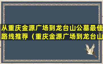 从重庆金源广场到龙台山公墓最佳路线推荐（重庆金源广场到龙台山公墓出行攻略）