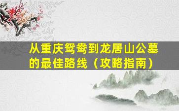 从重庆鸳鸯到龙居山公墓的最佳路线（攻略指南）