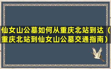 仙女山公墓如何从重庆北站到达（重庆北站到仙女山公墓交通指南）