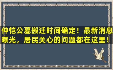 仲恺公墓搬迁时间确定！最新消息曝光，居民关心的问题都在这里！
