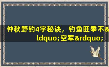 仲秋野钓4字秘诀，钓鱼旺季不“空军”，掌握规律是关键
