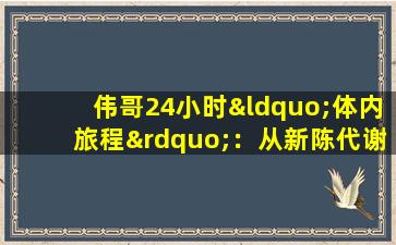 伟哥24小时“体内旅程”：从新陈代谢的发作开始，有5种数据可帮助您科学地使用医学