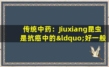 传统中药：Jiuxiang昆虫是抗癌中的“好一般”，考虑到症状和根本原因！