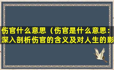 伤官什么意思（伤官是什么意思：深入剖析伤官的含义及对人生的影响）