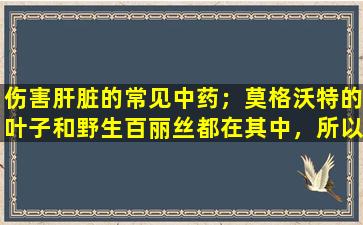 伤害肝脏的常见中药；莫格沃特的叶子和野生百丽丝都在其中，所以快点看看！不要不加区
