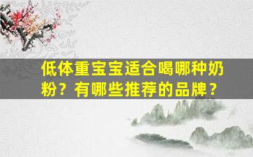 低体重宝宝适合喝哪种奶粉？有哪些推荐的品牌？