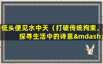 低头便见水中天（打破传统拘束，探寻生活中的诗意——低头便见水中天）