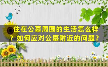 住在公墓周围的生活怎么样？如何应对公墓附近的问题？