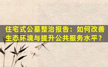 住宅式公墓整治报告：如何改善生态环境与提升公共服务水平？