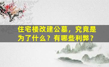 住宅楼改建公墓，究竟是为了什么？有哪些利弊？
