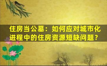 住房当公墓：如何应对城市化进程中的住房资源短缺问题？