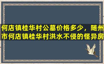 何店镇桂华村公墓价格多少，随州市何店镇桂华村洪水不侵的怪异房子