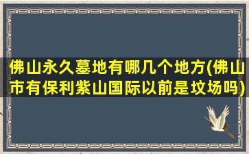 佛山永久墓地有哪几个地方(佛山市有保利紫山国际以前是坟场吗)