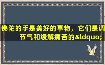 佛陀的手是美好的事物，它们是调节气和缓解痛苦的“好手”