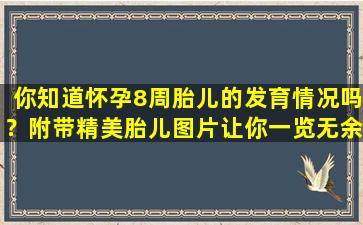 你知道怀孕8周胎儿的发育情况吗？附带精美胎儿图片让你一览无余！