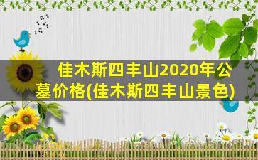 佳木斯四丰山2020年公墓价格(佳木斯四丰山景色)
