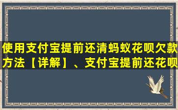 使用支付宝提前还清蚂蚁花呗欠款方法【详解】、支付宝提前还花呗在哪