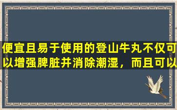 便宜且易于使用的登山牛丸不仅可以增强脾脏并消除潮湿，而且可以治疗6种疾病！