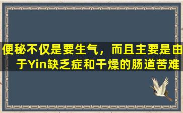 便秘不仅是要生气，而且主要是由于Yin缺乏症和干燥的肠道苦难。定期吃这三种食物可以缓解不适！