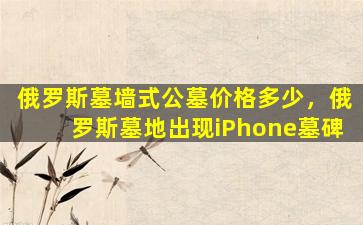 俄罗斯墓墙式公墓价格多少，俄罗斯墓地出现iPhone墓碑