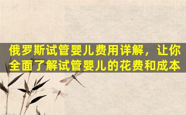 俄罗斯试管婴儿费用详解，让你全面了解试管婴儿的花费和成本