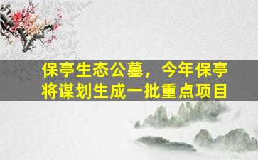 保亭生态公墓，今年保亭将谋划生成一批重点项目