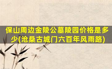 保山周边金陵公墓陵园价格是多少(沧桑古城门六百年风雨路)