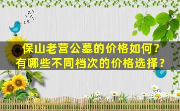 保山老营公墓的价格如何？有哪些不同档次的价格选择？