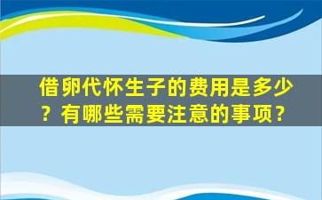 借卵代怀生子的费用是多少？有哪些需要注意的事项？