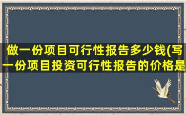 做一份项目可行性报告多少钱(写一份项目投资可行性报告的价格是多少)