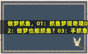 做梦抓鱼，01：抓鱼梦现奇观
02：做梦也能抓鱼？
03：手抓鱼，心相连
04：鱼水情深