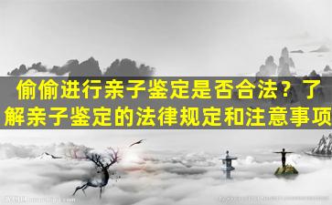 偷偷进行亲子鉴定是否合法？了解亲子鉴定的法律规定和注意事项