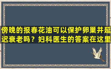 傍晚的报春花油可以保护卵巢并延迟衰老吗？妇科医生的答案在这里
