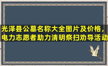 光泽县公墓名称大全图片及价格，电力志愿者助力清明祭扫劝导活动