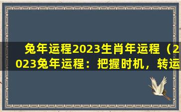 兔年运程2023生肖年运程（2023兔年运程：把握时机，转运成功）