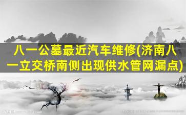 八一公墓最近汽车维修(济南八一立交桥南侧出现供水管网漏点)
