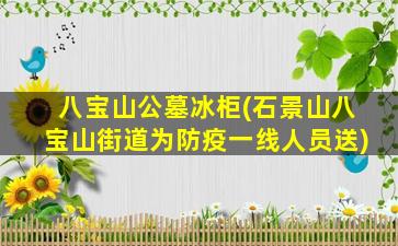八宝山公墓冰柜(石景山八宝山街道为防疫一线人员送)