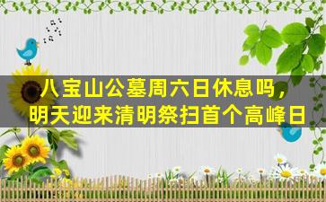 八宝山公墓周六日休息吗，明天迎来清明祭扫首个高峰日
