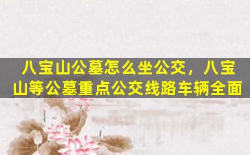 八宝山公墓怎么坐公交，八宝山等公墓重点公交线路车辆全面