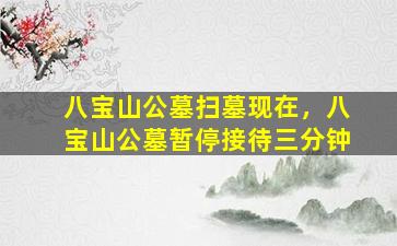八宝山公墓扫墓现在，八宝山公墓暂停接待三分钟