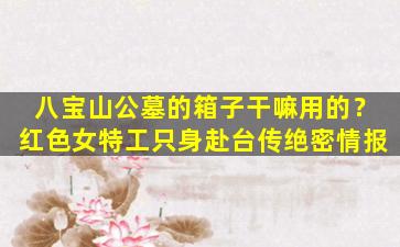八宝山公墓的箱子干嘛用的？红色女特工只身赴台传绝密情报