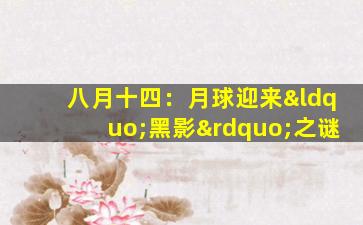 八月十四：月球迎来“黑影”之谜