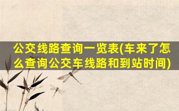 公交线路查询一览表(车来了怎么查询公交车线路和到站时间)